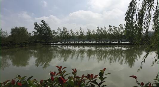 Ϸվ¼gaI_l^**e޹˾ټwϵķݡľYaЈrֵuĿ